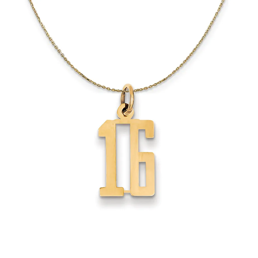 Yellow Gold Alumni Small Elongated Number 16 Neckpiece