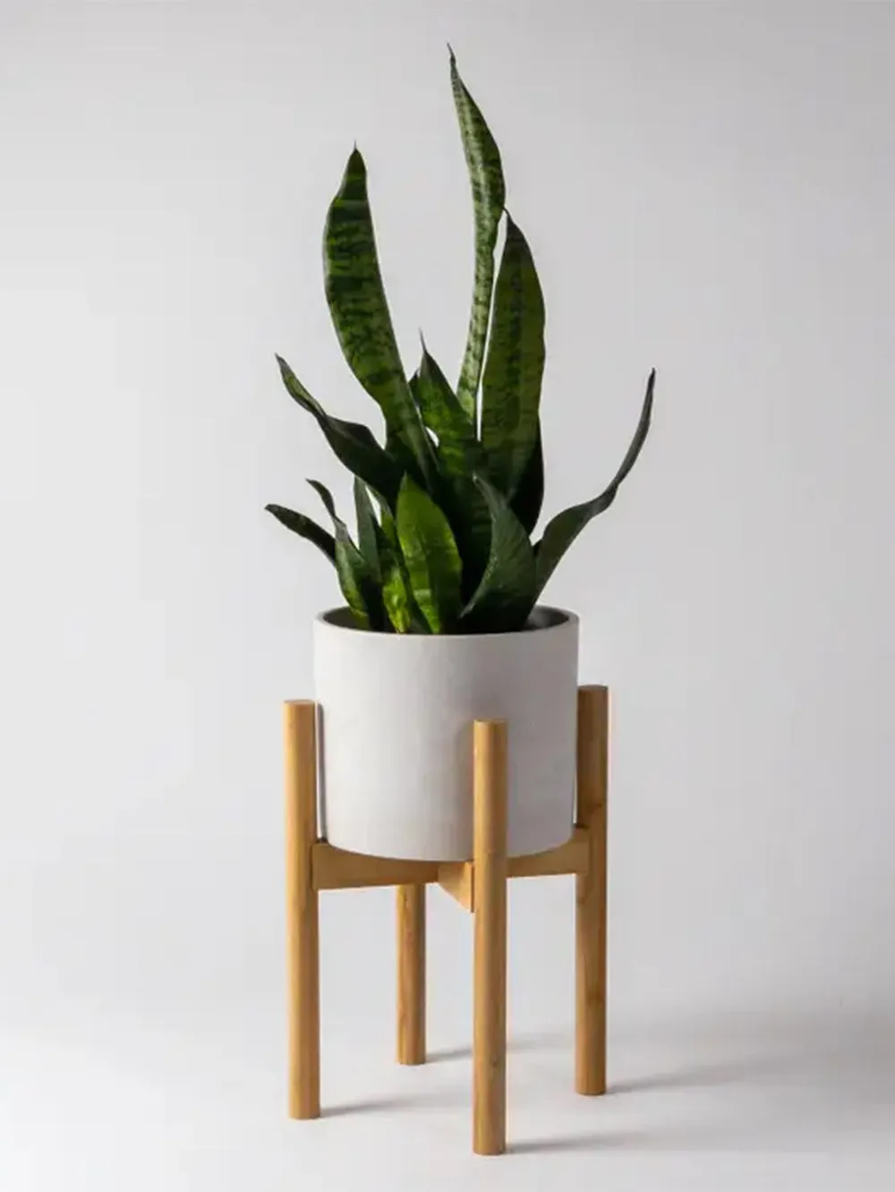 Versatile Adjustable Bamboo Plant Display