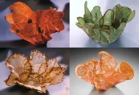 Vegetable and Fruit Parchment Bowls by Margaret Dorfman