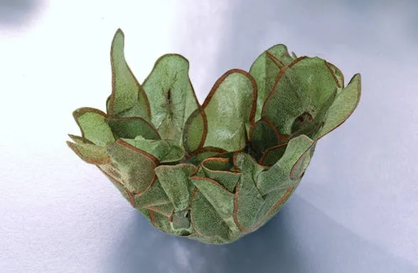 Vegetable and Fruit Parchment Bowls by Margaret Dorfman