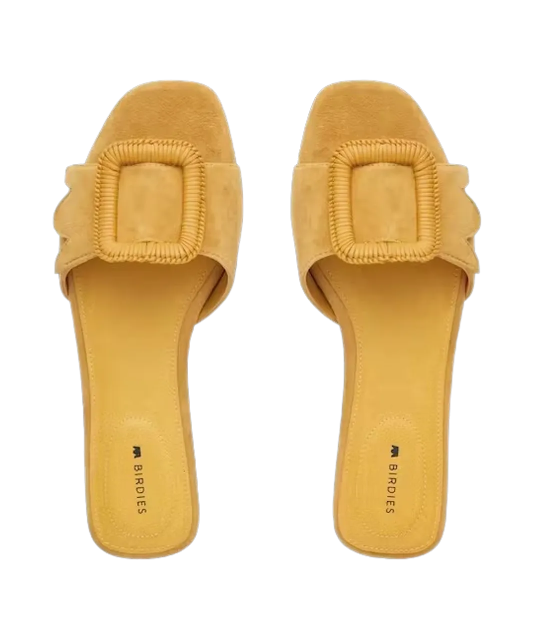 Sunflower Suede Kiwi Sandal by Birdies