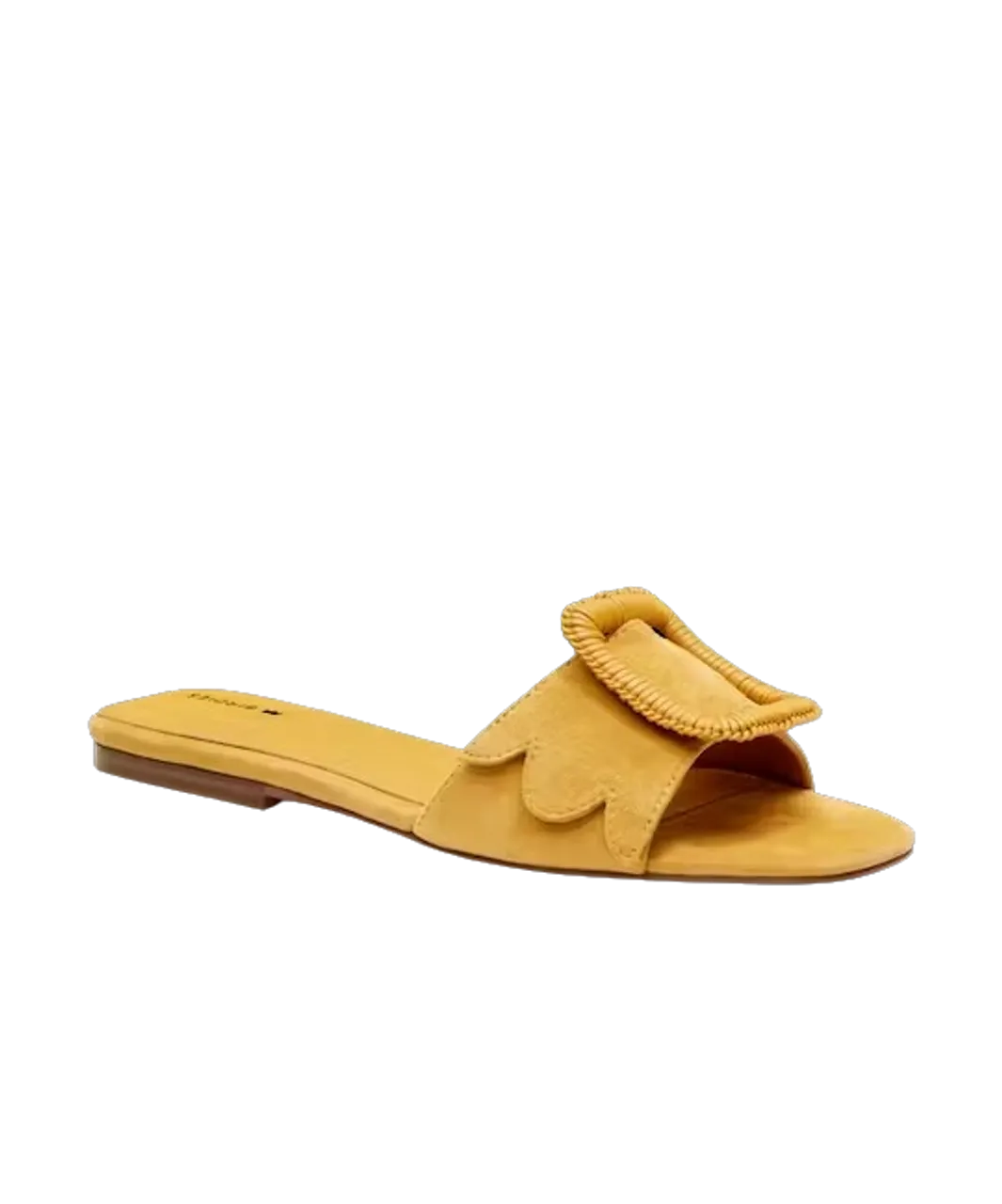 Sunflower Suede Kiwi Sandal by Birdies