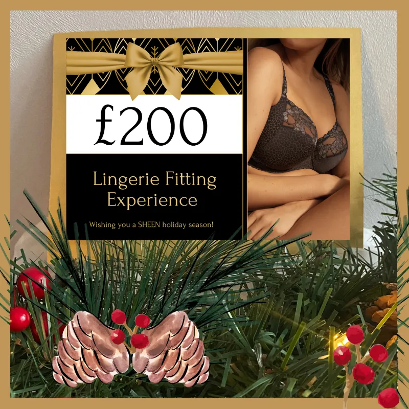 200 Lingerie Fitting Experience The Ultimate Christmas Gift